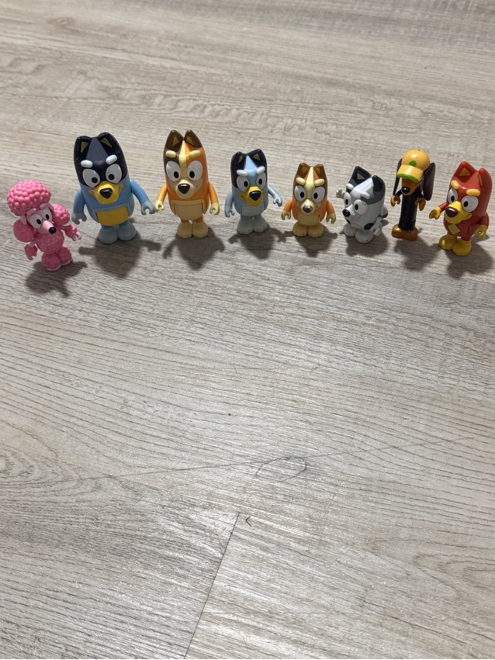 Bluey  and friends